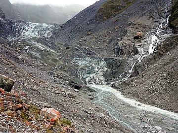 Fox glacier walk