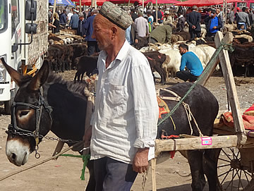 Kashgar Livestock Market