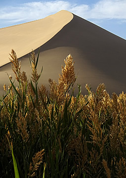 Mingsha sand dunes