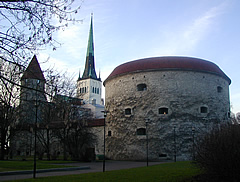 Tallinn Fat Margaret