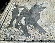 Mosaic, House of the tragic poet, Pompeii, Italy