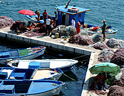 fishermen, Gallipoli, Puglia, Italy