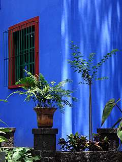 Mexico City Casa Azul Frida Kahlo