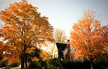 amherst fall