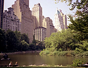 USA: New York City Central Park