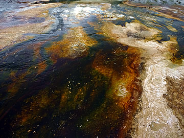 Upper Geyser Basin Yellowstone NP