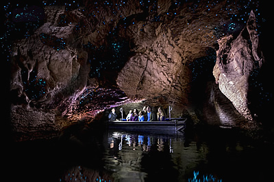 Courtesy of Real Journeys: glowworm caves