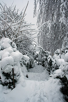 Muenchenstein winter snow