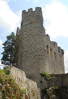 Pfeffingen castle
