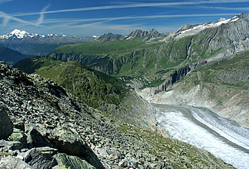 The end of the Aletsch Glacier, below Bettmerhorn