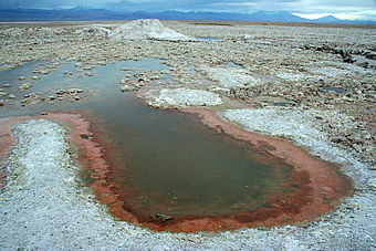 Laguna de Chaxa