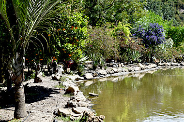 Botanical Gardens, Crete