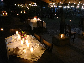 Dinner at Hacienda San Lucas