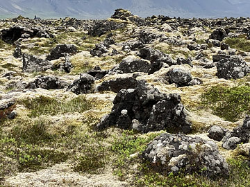 Budir lava field, Iceland