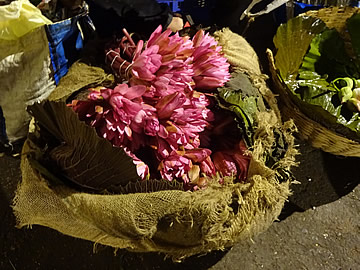 Mumbai  flower market