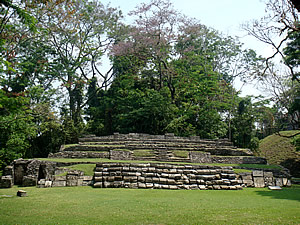 mexico palenque temple x