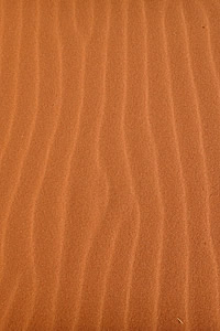 Dune One