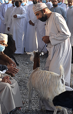 Nizwa goat market, Oman