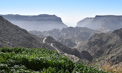 Saiq Plateau, Jebel Akhdar, Oman