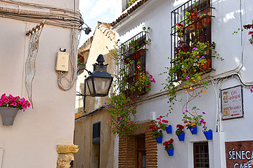 Cordoba, Andalucia, Spain