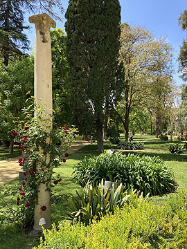seville alcazar gardens