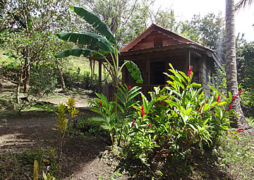 Tet Paul Nature Trail, St Lucia