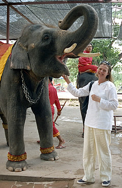 Elephant Krall