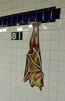 81 Street subway