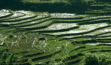 Sapa Muong Hoa Valley