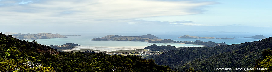 The Silk Route - World Travel: New Zealand: Coromadel Peninsula